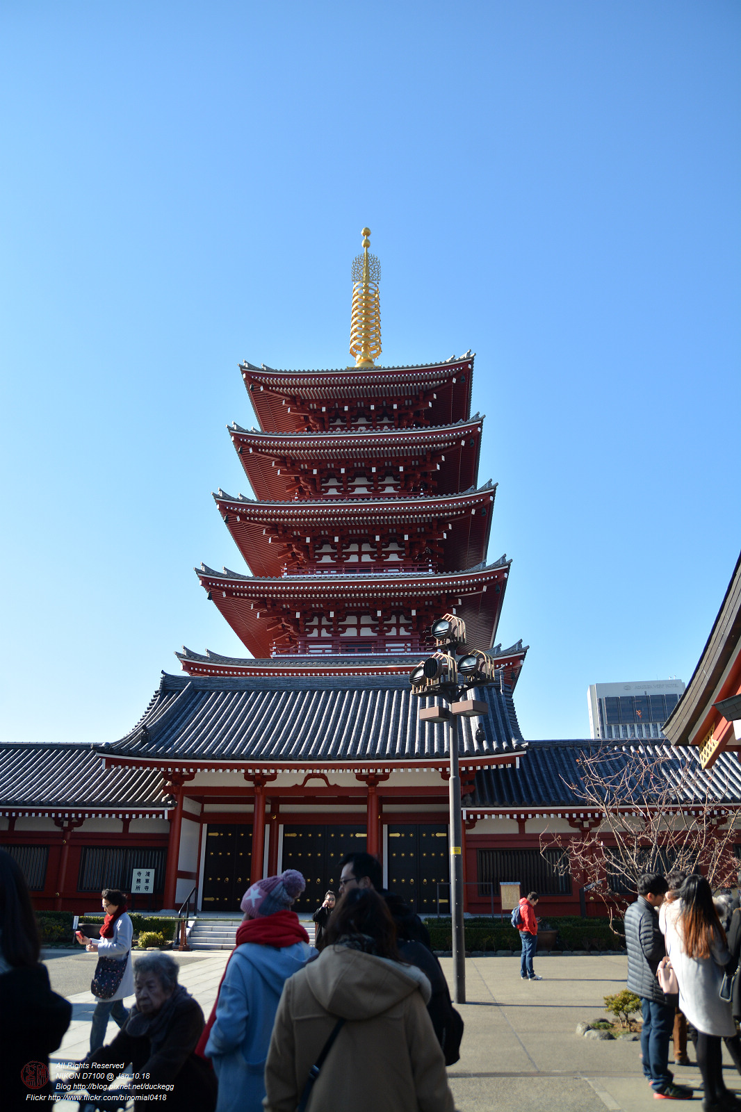 20180110114445_NIKON D7100.jpg
